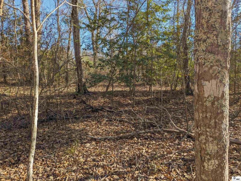 0 BUTLER ROAD, Choudrant, LA 71227 Land For Sale  MLS# 208613