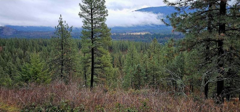 3660 VINEYARD WAY, Kettle Falls, WA 99141 Land For Sale  MLS# 202325271
