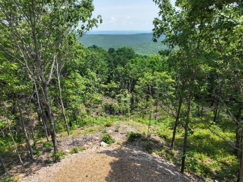 Tuskahoma, Pushmataha County, OK Undeveloped Land for sale Property ID: 418904669