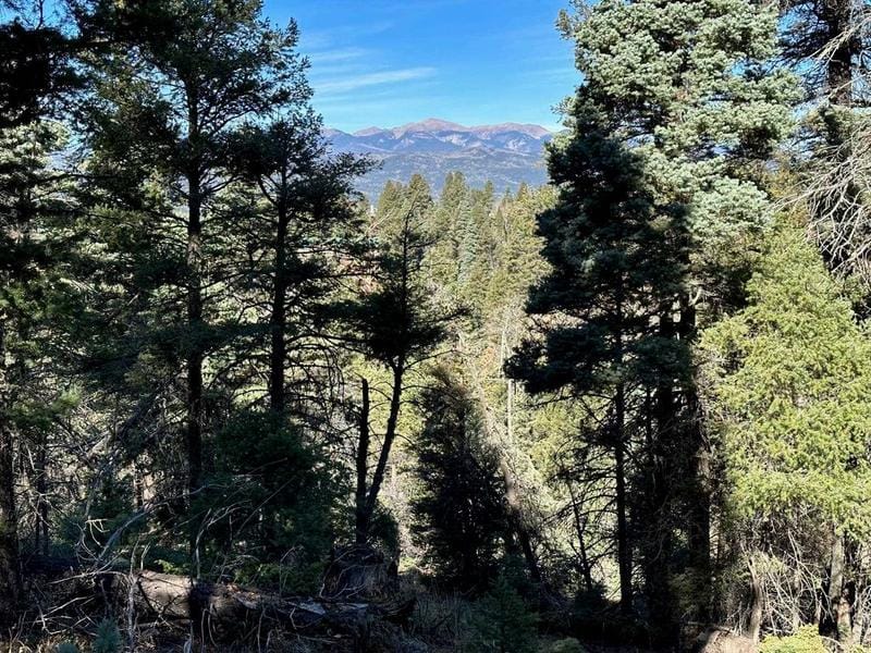 261 Vista Del Valle Overlook, Angel Fire, NM 87710  MLS# 111233 for Sale