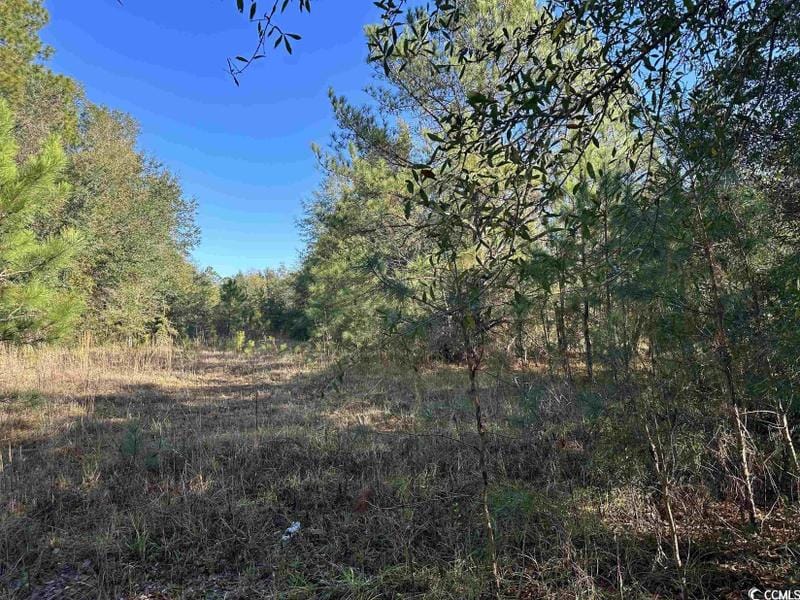 Kingstree, Williamsburg County, SC Undeveloped Land, Homesites for sale Property ID: 418532270