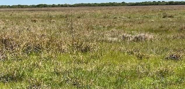 Tract 1 County Rd 18, Hallettsville, TX 77964 - MLS 52616123 for Sale