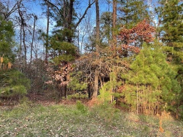 TBD Spring Creek Ln, Coldspring, TX 77331 for Sale