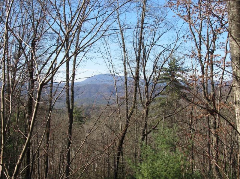 Tbd Peppervine Circle #99, Rosman, NC 28772 - MLS 4008422 for Sale
