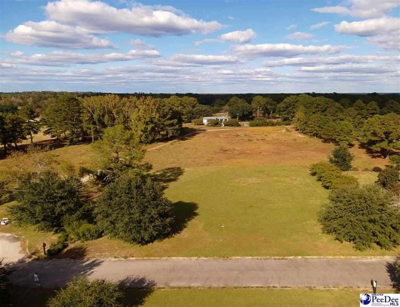 2234 Zaharias Court, Florence, SC 29506  621076517 for Sale