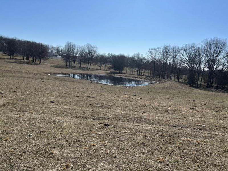 0000 2251ST ROAD, Humansville, MO 65674 Land For Sale  MLS# 60259852