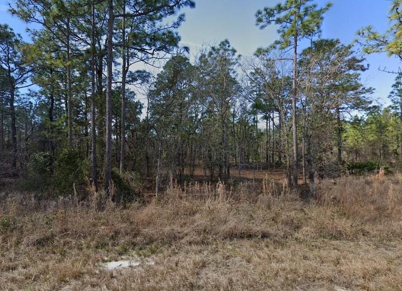 Greenback Rd, Weeki Wachee, FL 34614 - MLS RX-10944217 for Sale