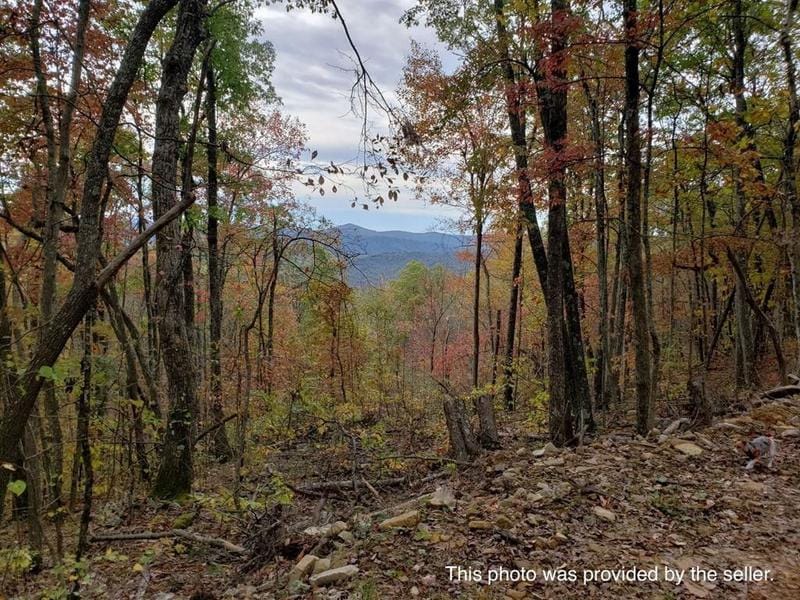 Tazewell, Tazewell County, VA for sale Property ID: 414839544