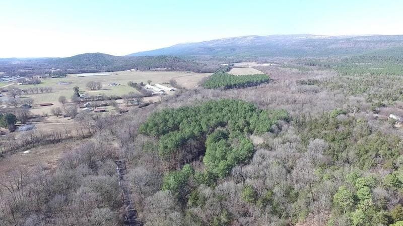 Havana, Yell County, AR Undeveloped Land for sale Property ID: 418832437