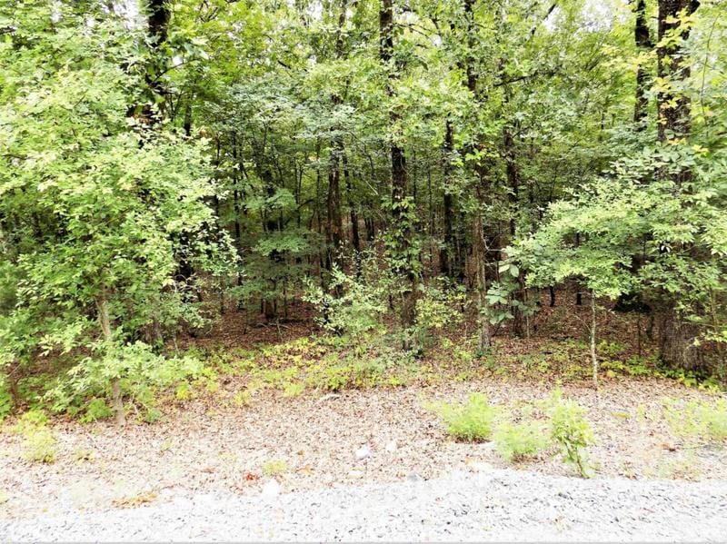 00 WILDERNESS RD, Greenbrier, AR 72058 Land For Sale  MLS# 23024899
