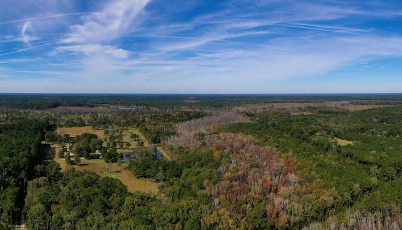 Adams Run, Charleston County, SC House for sale Property ID: 418118806