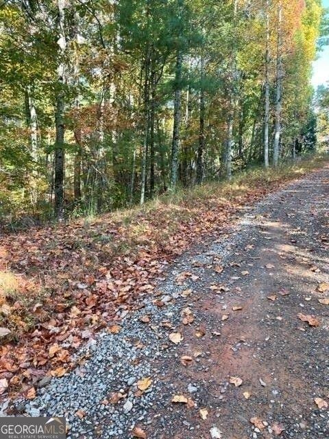 Ellijay, Gilmer County, GA Undeveloped Land, Homesites for sale Property ID: 416346444