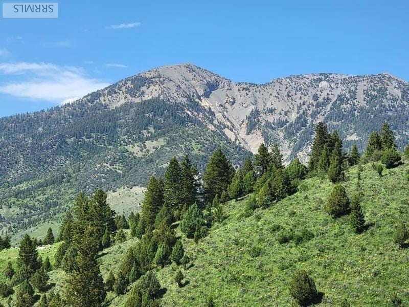 Irwin, Bonneville County, ID Undeveloped Land, Homesites for sale Property ID: 417311461