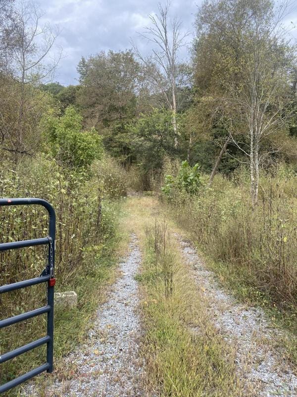 Riceville, Mc Minn County, TN for sale Property ID: 417944099