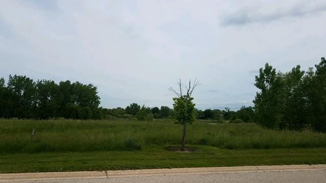 19998 West Old Meadow Trail, Long Grove, IL 60047 for Sale