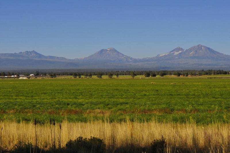 68755 FRYREAR RD, Sisters, OR 97759 Land For Sale  MLS# 220154409