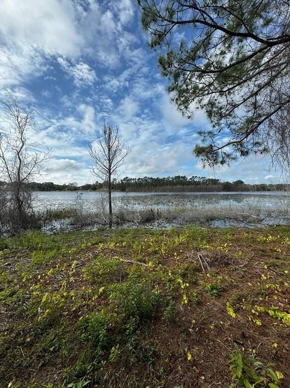 Keene Rd Lot 3, Altoona, FL 32702 - MLS G5077683 for Sale