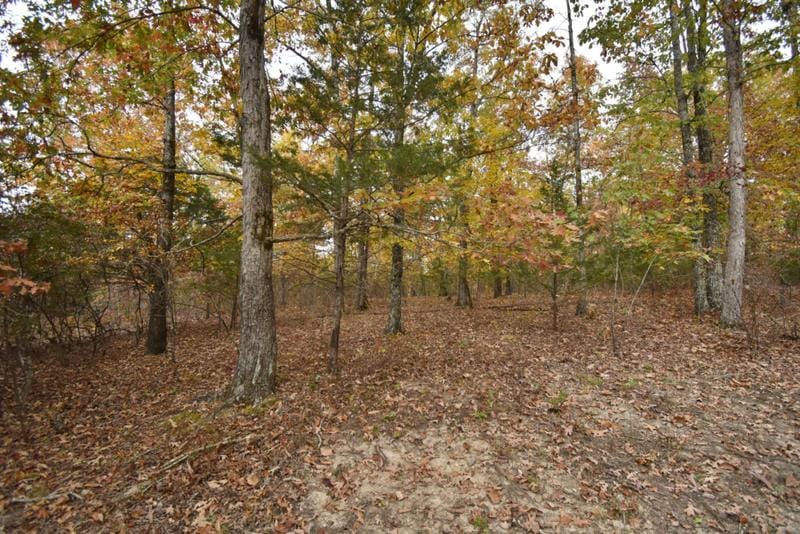 0 HIGHWAY 412 W, Linden, TN 37096 Land For Sale  MLS# 2615739