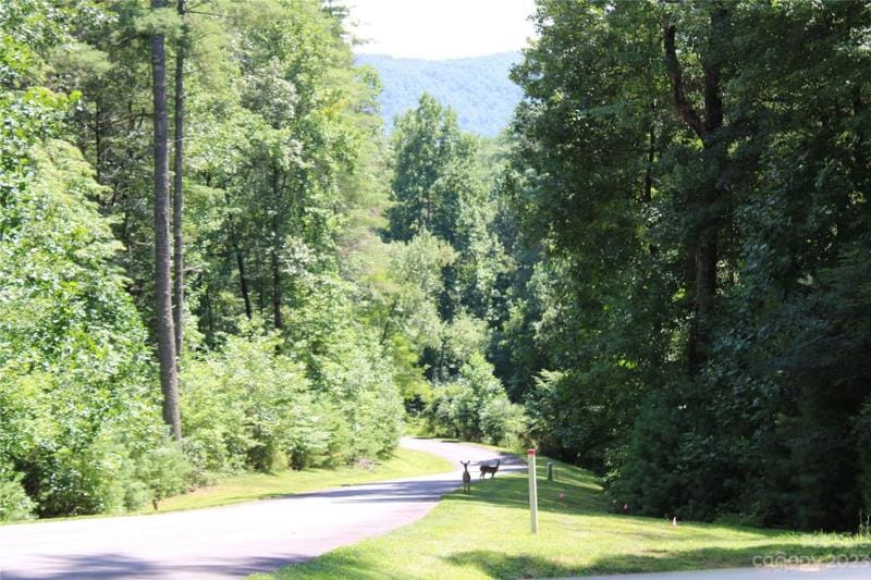 Brevard, Transylvania County, NC Undeveloped Land, Homesites for sale Property ID: 417562928