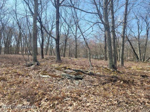 Bushkill, Pike County, PA Undeveloped Land, Homesites for sale Property ID: 410067666