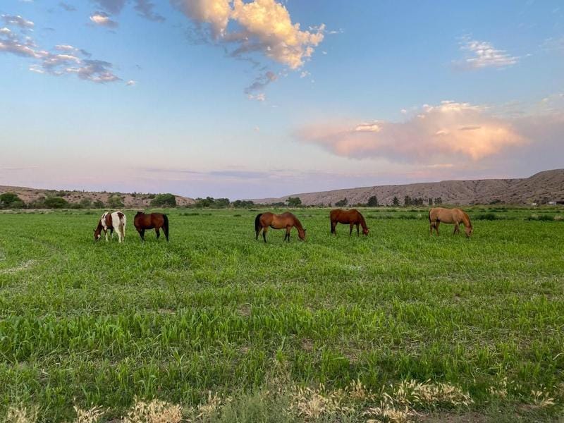 Monticello, Sierra County, NM Farms and Ranches, Recreational Property, Hunting Property for sale Property ID: 418642255