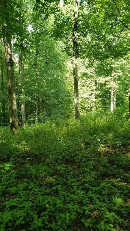 Bakersville, Mitchell County, NC Undeveloped Land, Homesites for sale Property ID: 414658453