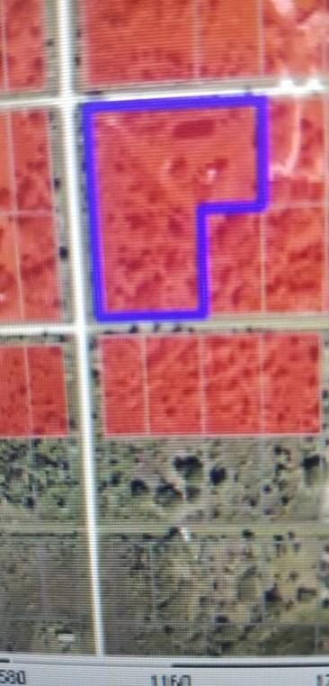 20650 NW 266th St, Okeechobee, FL 34972 - MLS OK222739 for Sale