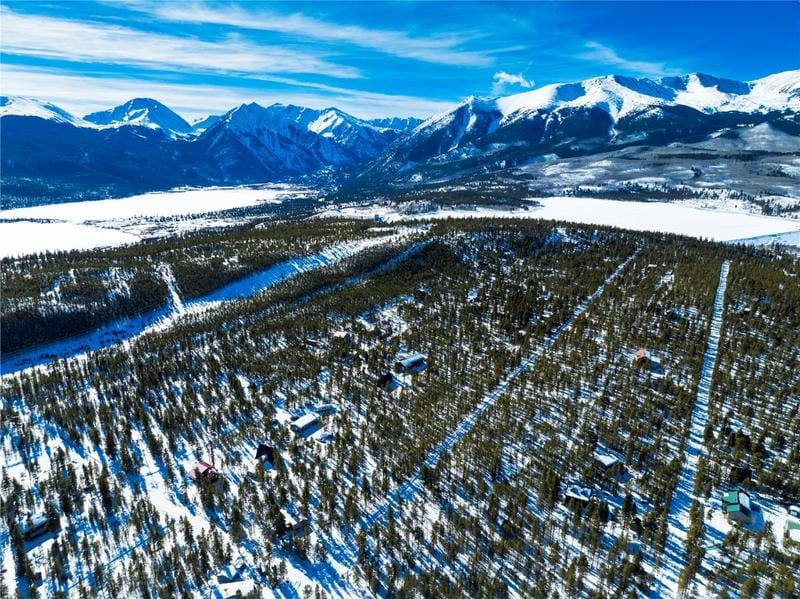 495 Birch Drive, Twin Lakes, CO 80461 for Sale