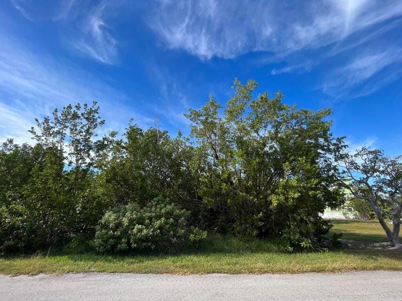 Duck Key, Monroe County, FL Undeveloped Land, Homesites for sale Property ID: 415661874
