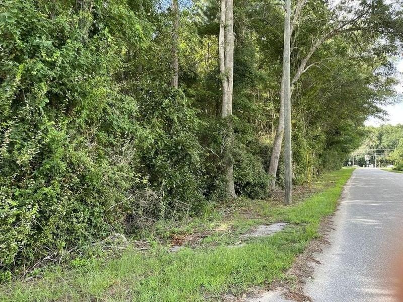 Hampton, Hampton County, SC Undeveloped Land, Commercial Property for sale Property ID: 417882721