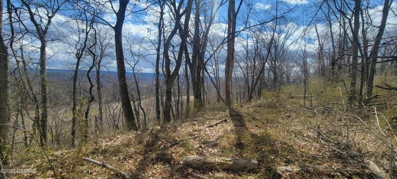 RUCKLE HILL ROAD, Berwick, PA 18603 Land For Sale  MLS# 20-93734