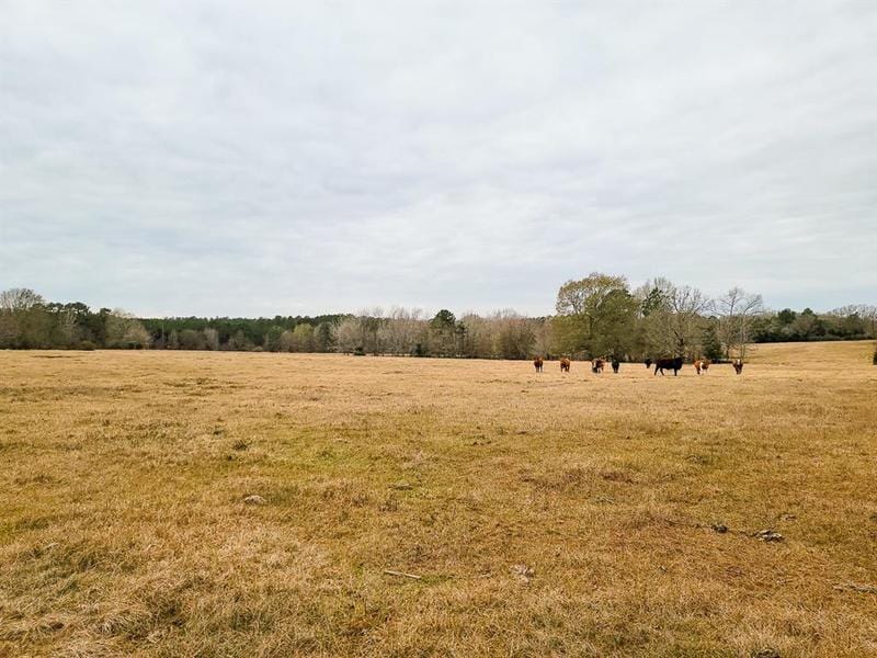 0 Fm 2867 Henderson Tx 75654, Henderson, TX 75654 for Sale