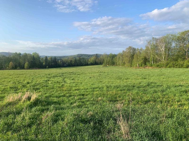 Lot B Titus Hill Rd, Colebrook, NH 03576 - MLS 4954442 for Sale