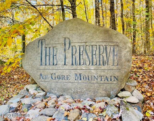 73 Mountain Path, Johnsburg, NY 12853 for Sale
