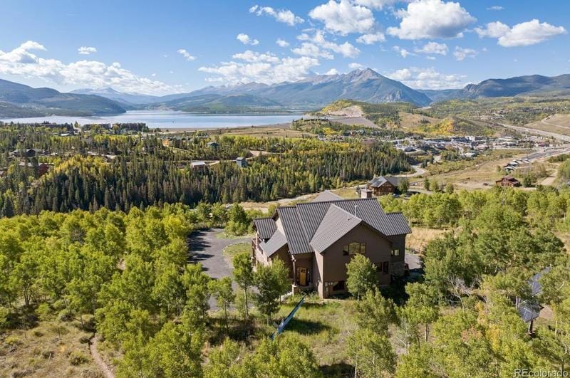 817 Ptarmigan Trail, Silverthorne, CO 80498 - MLS 4836110 for Sale