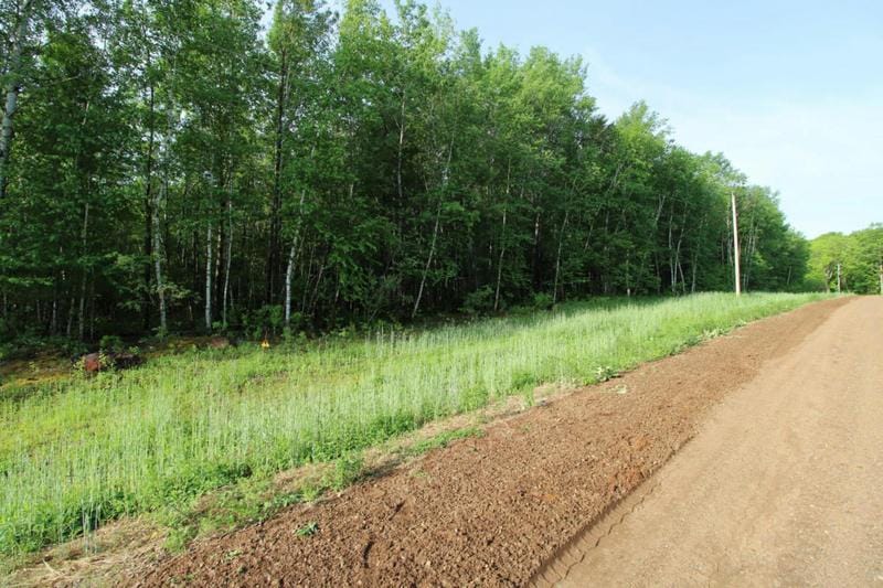 B3L8 TAIL TRACK LANE, Deerwood, MN 56444 Land For Sale  MLS# 6331171 for Rent
