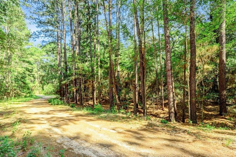28066 East Hickory Bow Ln, Hempstead, TX 77445 for Sale