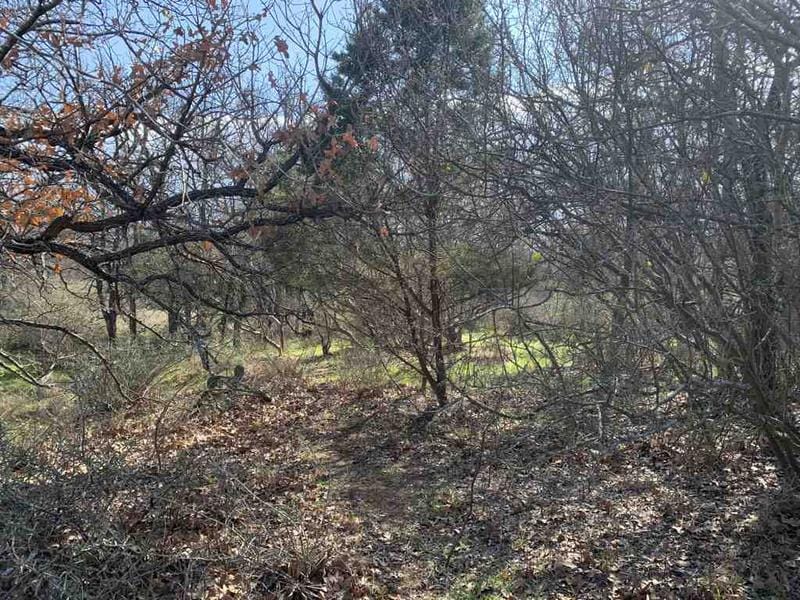 283-289 Aspermont Street, Kingsland, TX 78639 for Sale