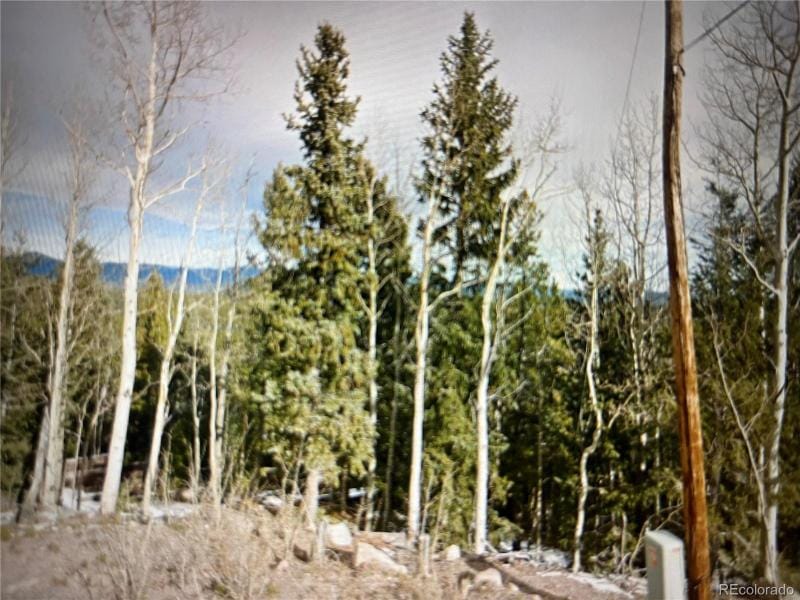 10288 Christopher Drive, Conifer, CO 80433 for Sale