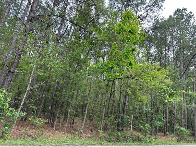 Summerville, Dorchester County, SC Undeveloped Land, Homesites for sale Property ID: 418426693