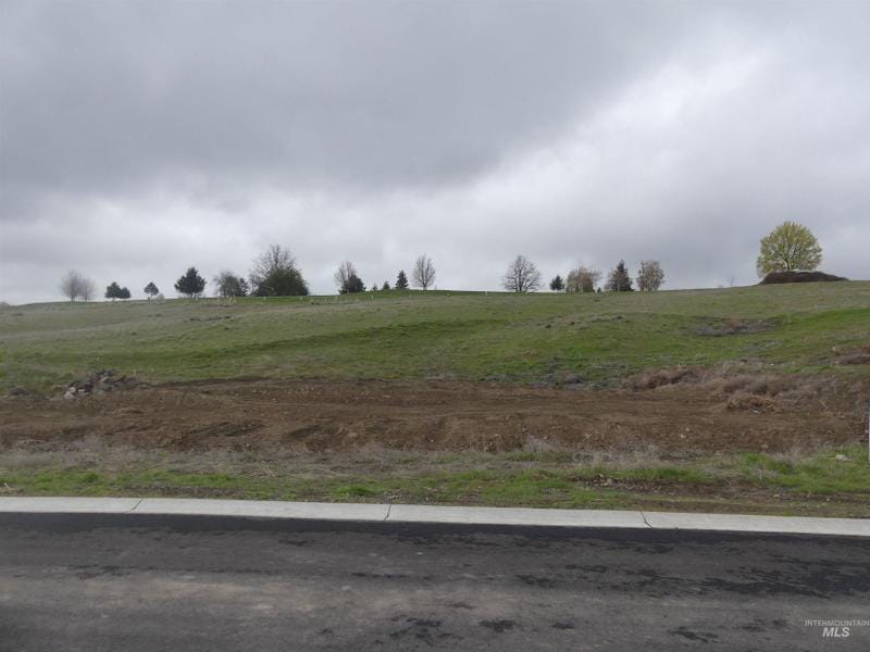 Lewiston, Nez Perce County, ID Undeveloped Land, Homesites for sale Property ID: 413261968