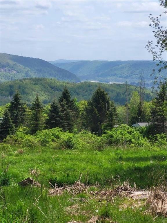 186 CHEESE FACTORY RD, Deposit, NY 13754 Agriculture For Sale  MLS# OD137689