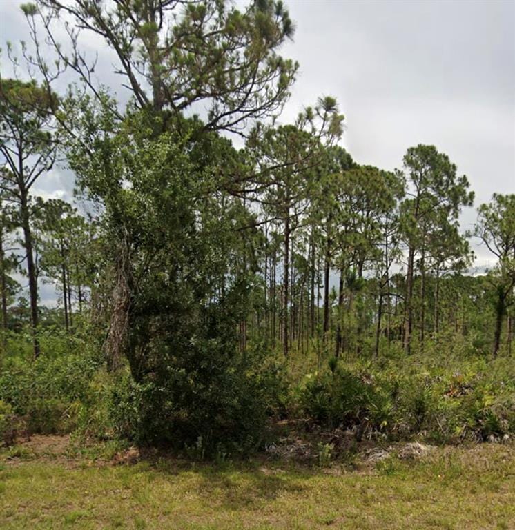 13494 Lynbrook Avenue, Port Charlotte, FL 33953 for Sale