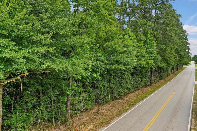 0 Honea Egypt Road, Montgomery, TX 77316 for Sale