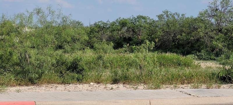 Eagle Pass, Maverick County, TX Commercial Property, Homesites for sale Property ID: 414708688