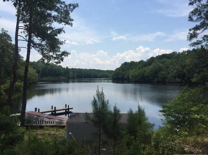 4191 Swanns Station Rd, Sanford, NC 27332 - MLS LP676850 for Sale