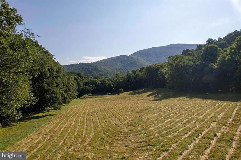 Stanley, Page County, VA Undeveloped Land for sale Property ID: 417360093