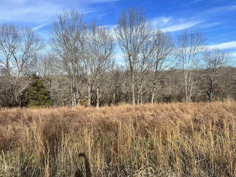 000 Lot 9 Middlegate Place, Branson West, MO 65737  615078650 for Sale
