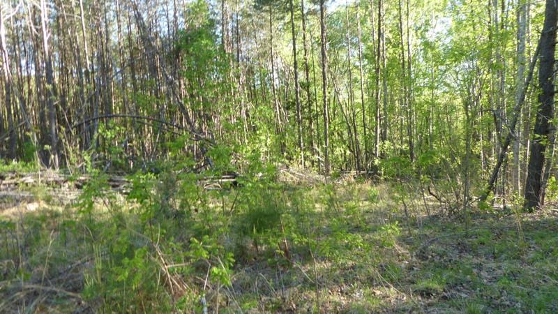 Tract 1 Dusty Lane, Martinsville, VA 24112 for Sale