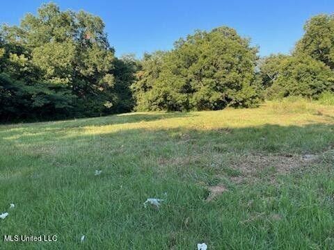 Coldwater, Tate County, MS Undeveloped Land, Homesites for sale Property ID: 418332913